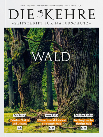 Die Kehre #17: Wald