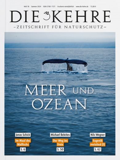 Die Kehre #18: Meer und Ozean