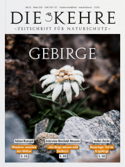 Die Kehre #20: Gebirge